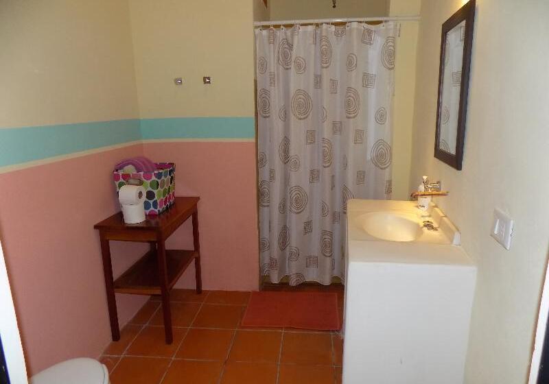 Номер Стандарт, Casa Carmita