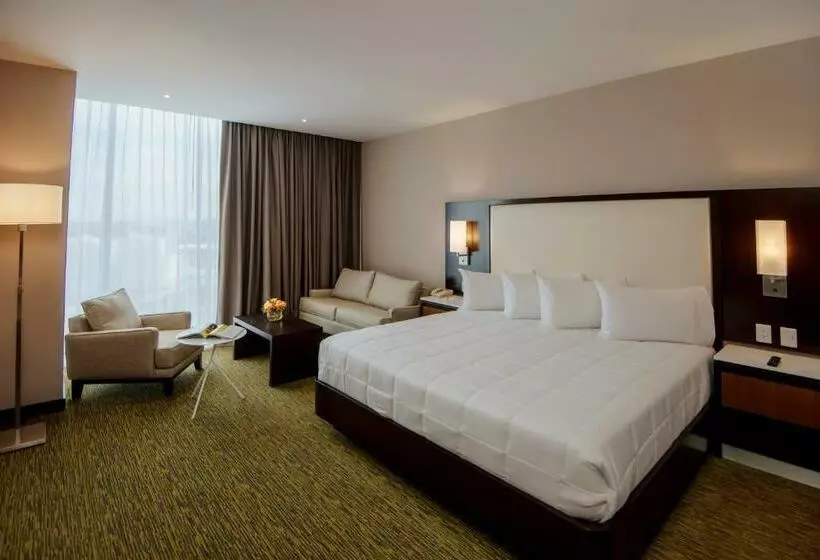 ジュニアスイート, Hilton Garden Inn Puebla Angelópolis, Mexico