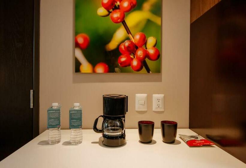 キングサイズベッドのスタンダードルーム, Hilton Garden Inn Puebla Angelópolis, Mexico