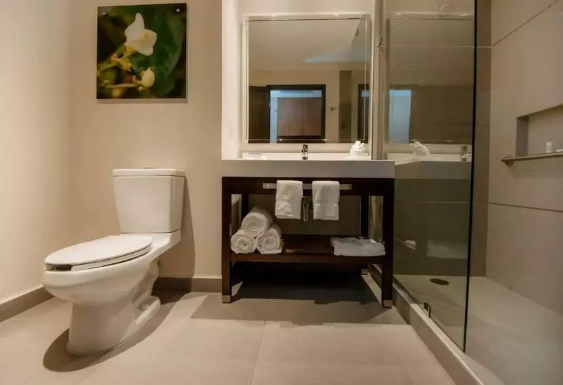 キングサイズベッドのスタンダードルーム, Hilton Garden Inn Puebla Angelópolis, Mexico