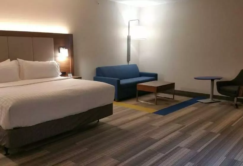 キングサイズベッドのエクゼクティブルーム, Holiday Inn Express & Suites   Ithaca, An Ihg