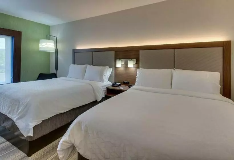 身障者適用スタンダードルーム, Holiday Inn Express & Suites   Ithaca, An Ihg