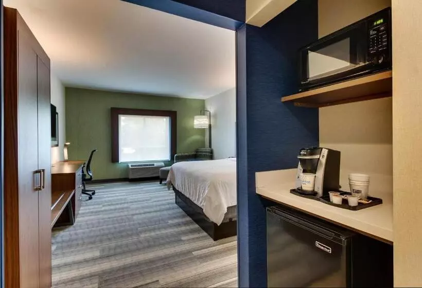 キングサイズベッドのスタンダードルーム, Holiday Inn Express & Suites   Ithaca, An Ihg