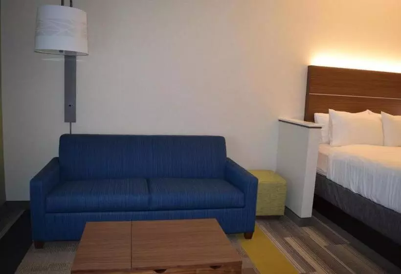 身障者適用キングサイズベッドルーム, Holiday Inn Express & Suites   Ithaca, An Ihg