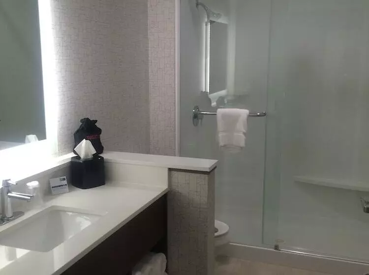 スイート, Holiday Inn Express & Suites   Ithaca, An Ihg