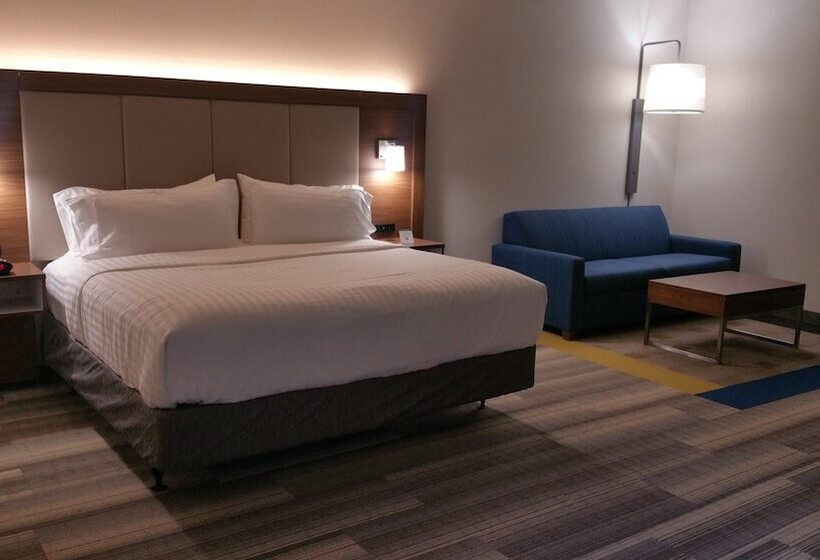 身障者適用スイートルーム, Holiday Inn Express & Suites Ithaca, An Ihg