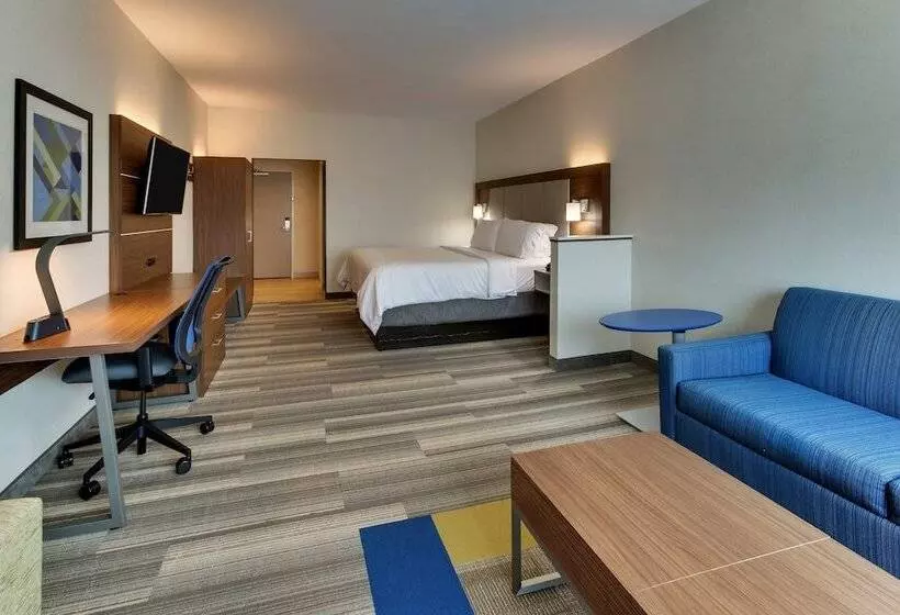 身障者適用スイートルーム, Holiday Inn Express & Suites   Ithaca, An Ihg