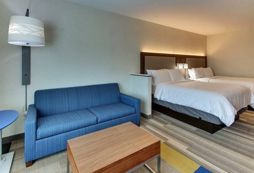 Suíte para Deficientes Físicos, Holiday Inn Express & Suites   Ithaca, An Ihg