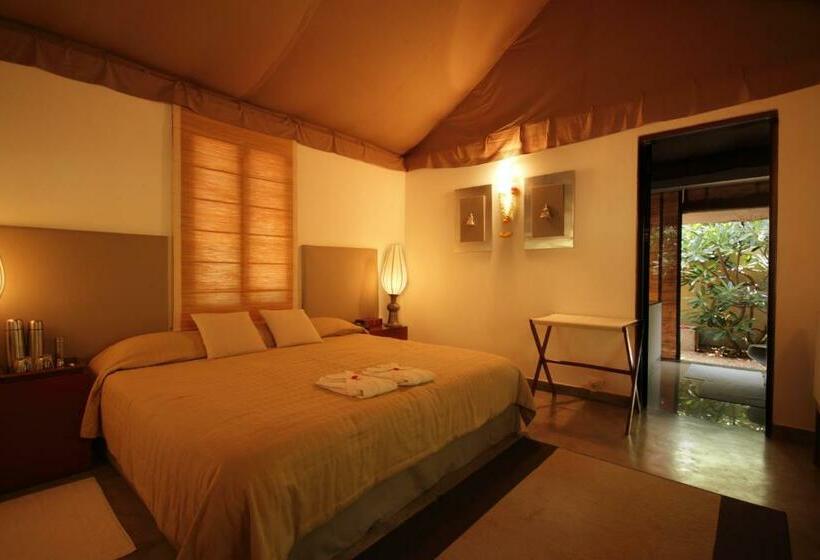Quarto Estandar Vista Jardim, Shreyas Retreat