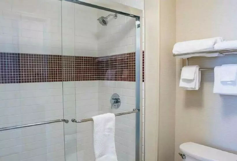 キングサイドベッドのスタンダードワンルーム, Staybridge Suites Denver Downtown, An Ihg