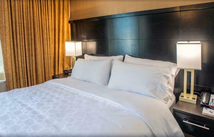 스탠다드 스튜디오, Staybridge Suites Denver Downtown, An Ihg