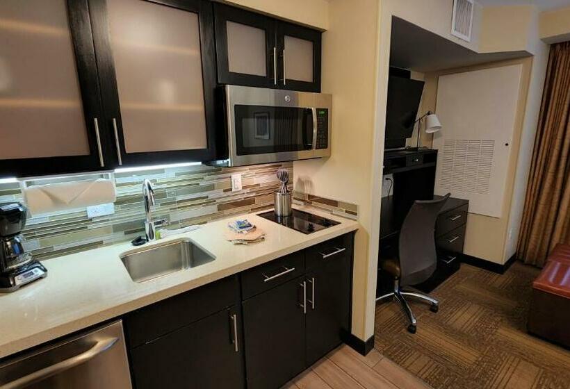 스탠다드 스튜디오 킹침대, Staybridge Suites Denver Downtown, An Ihg