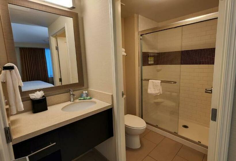 스탠다드 스튜디오 킹침대, Staybridge Suites Denver Downtown, An Ihg