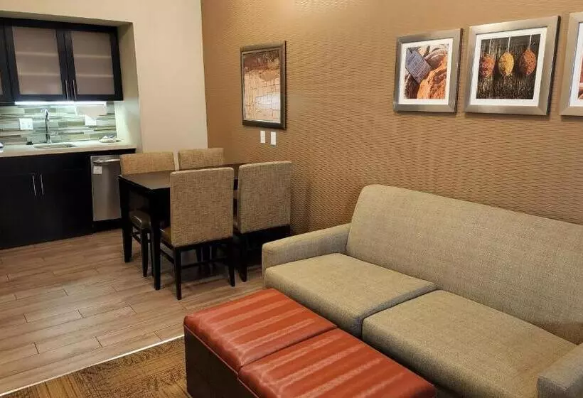 スタンダードスタジオ, Staybridge Suites Denver Downtown, An Ihg