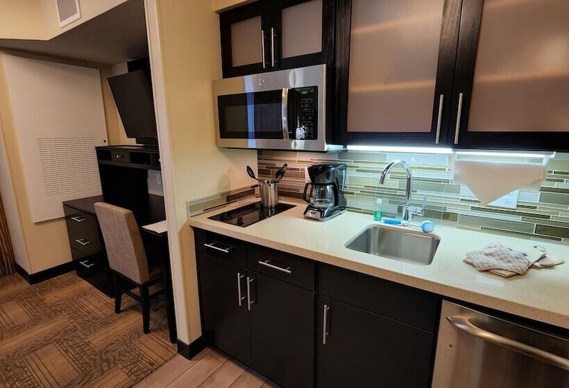 스탠다드 스튜디오, Staybridge Suites Denver Downtown, An Ihg