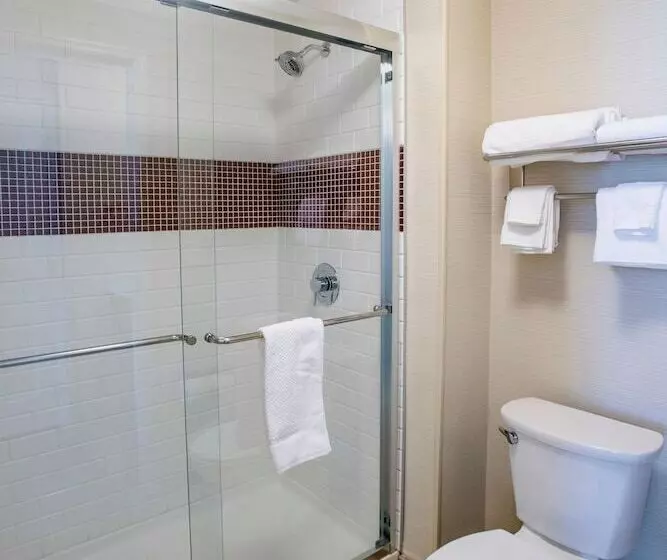 スタンダードスタジオ, Staybridge Suites Denver Downtown, An Ihg