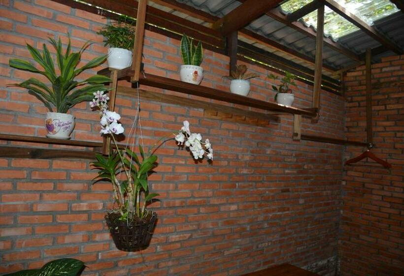 بانگلوی استاندارد, Ancarine Beach Resort