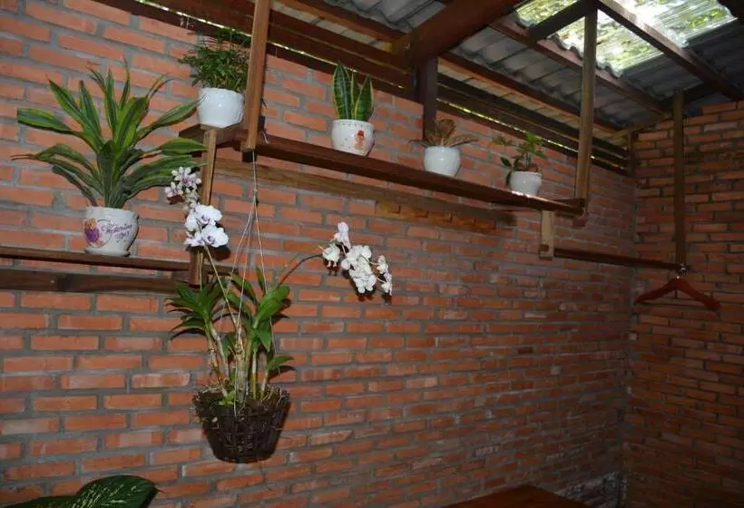 بانگلوی استاندارد با چشم‌انداز دریا, Ancarine Beach Resort