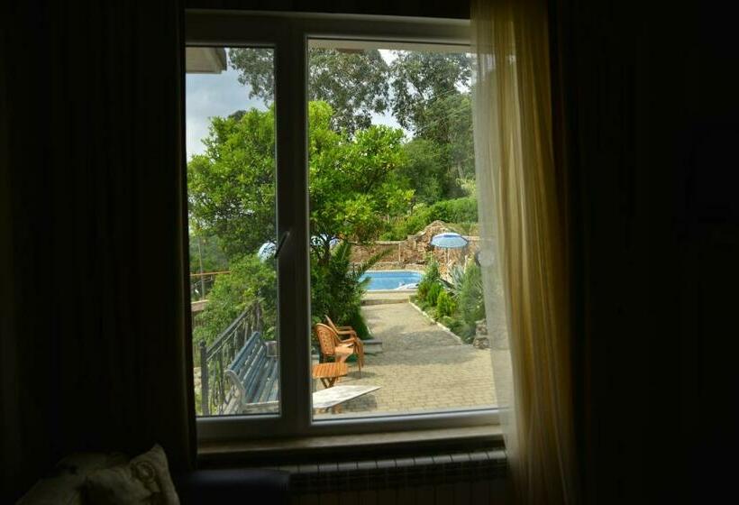 اتاق استاندارد, Mount Villa Kvariati