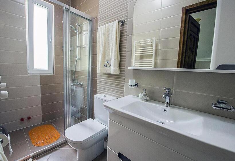 اتاق استاندارد, Mount Villa Kvariati