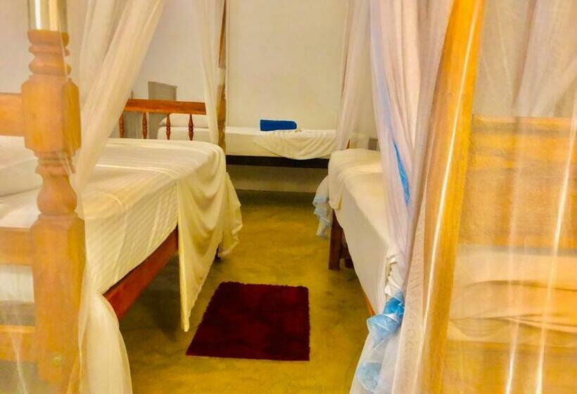 디럭스 패밀리 룸, Mirissa Beach Inn