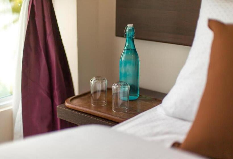 اتاق استاندارد, Whiteharp Beach Inn