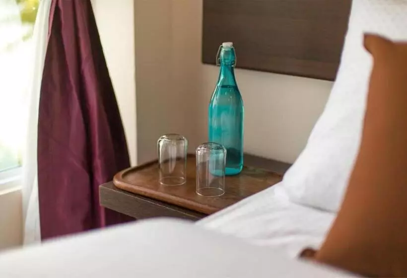 اتاق استاندارد, Whiteharp Beach Inn