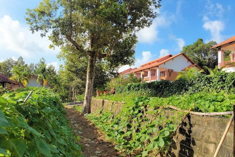 اتاق لوکس با چشمانداز باغ, The Garden House Phu Quoc Resort