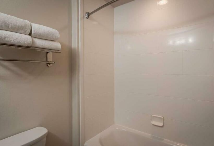 Standard Szoba, Best Western Plus Spring Inn & Suites