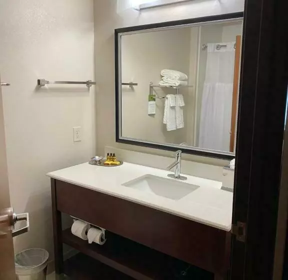 Standard-huone King-vuode, Best Western Plus Spring Inn & Suites