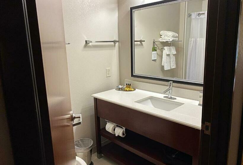 Standard Szoba King Size Bed, Best Western Plus Spring Inn & Suites