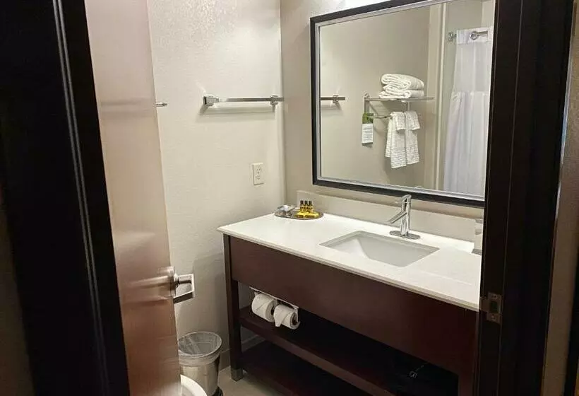 Standard-huone King-vuode, Best Western Plus Spring Inn & Suites