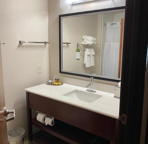 Suite King Size Bed, Best Western Plus Spring Inn & Suites