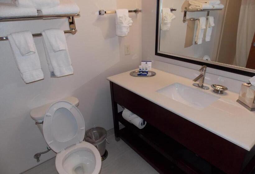 Mozgáskorlátozott Standard Szoba, Best Western Plus Spring Inn & Suites