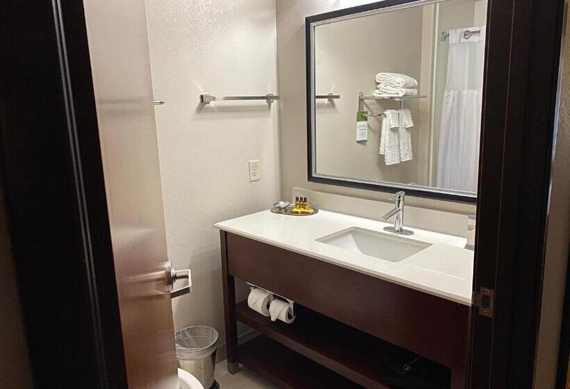 Номер Стандарт Кровать Кинг Адаптированный для Инвалидов, Best Western Plus Spring Inn & Suites