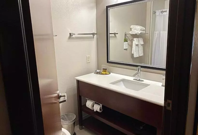 Standard-invahuone King-vuode, Best Western Plus Spring Inn & Suites