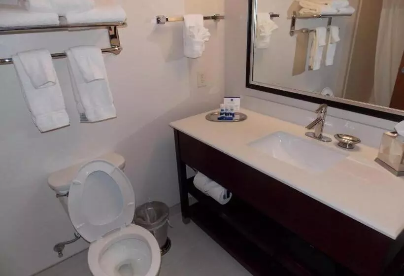 Sviitti Liikuntarajoitteisille, Best Western Plus Spring Inn & Suites