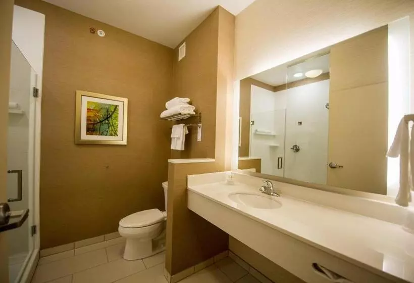 スタンダードルーム, Fairfield By Marriott Cambridge