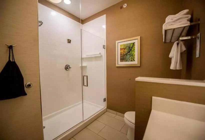 キングサイズベッドのスタンダードルーム, Fairfield By Marriott Cambridge