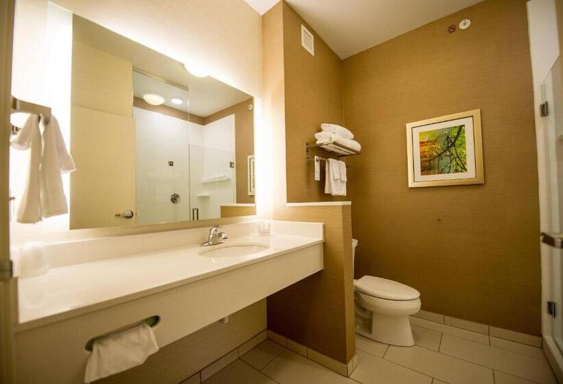 스위트 킹사이즈 침대, Fairfield By Marriott Cambridge
