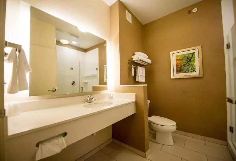 キングサイズベッドのスイートルーム, Fairfield By Marriott Cambridge