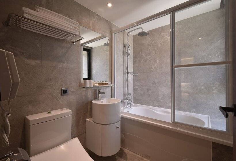 スタンダードルーム, Green World Songshan