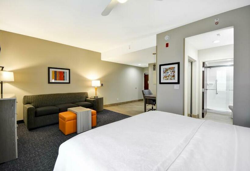 带大床的套房, Homewood Suites By Hilton Orlando Theme Parks
