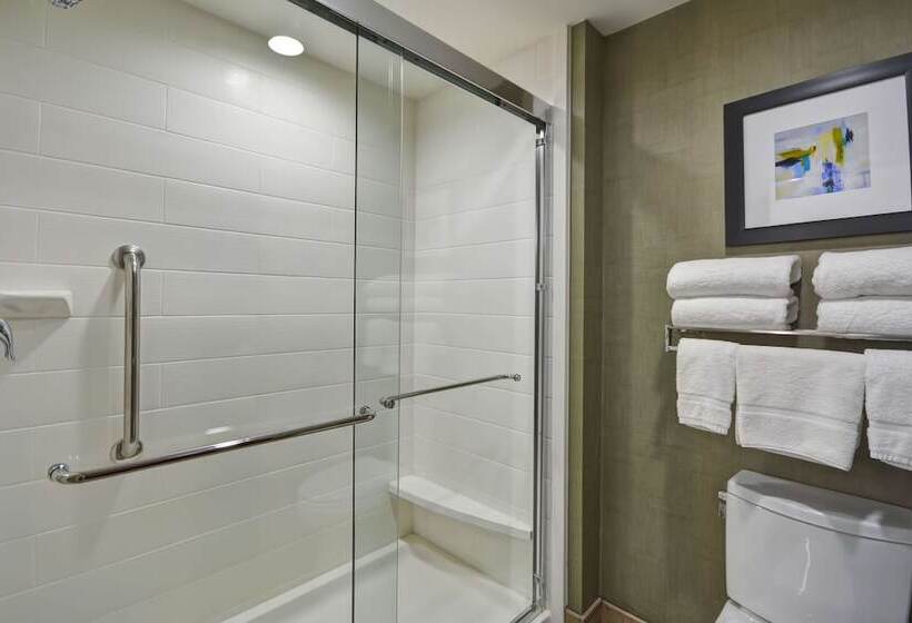 스위트, Homewood Suites By Hilton Orlando Theme Parks