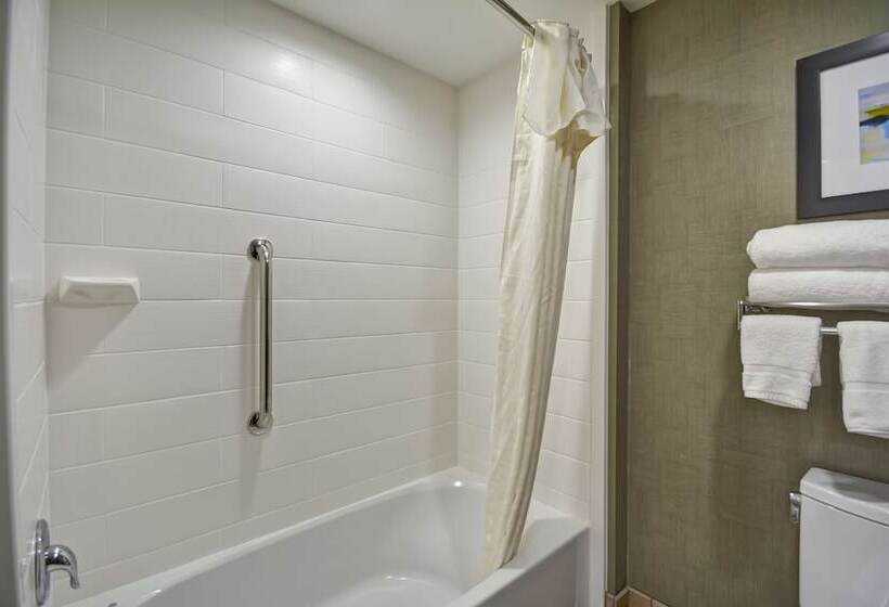 스위트, Homewood Suites By Hilton Orlando Theme Parks