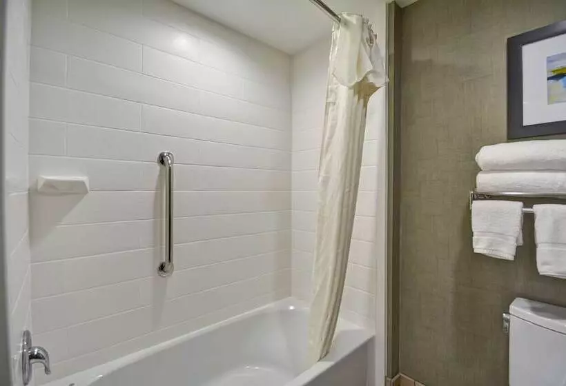 身障者適用スイートルーム, Homewood Suites By Hilton Orlando Theme Parks