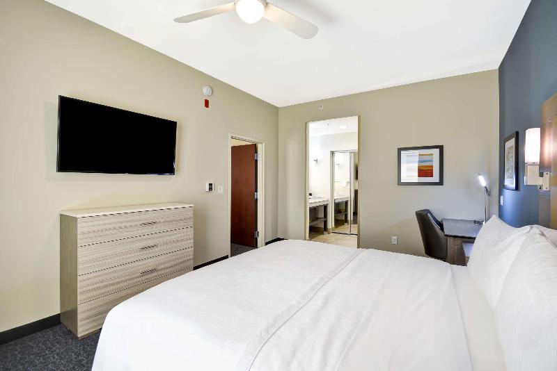带大床的套房, Homewood Suites By Hilton Orlando Theme Parks