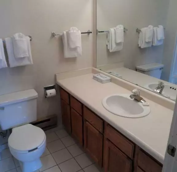 آپارتمان 2 خوابه, Jackson Hole Towncenter, A Vri Resort