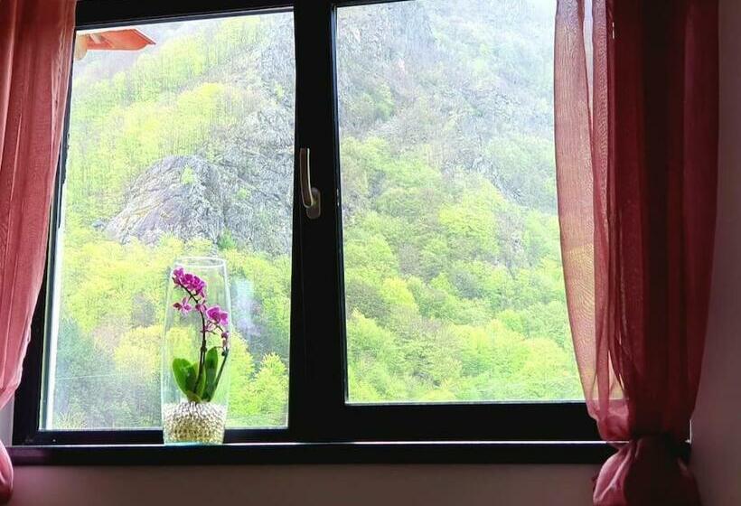 غرفة قياسية, La Izvoare