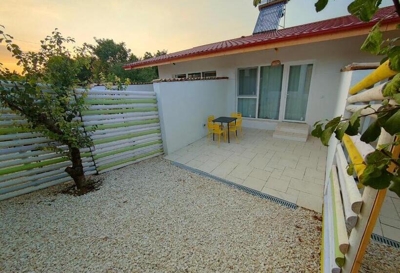 Standaard Studio met Terras, Sunba